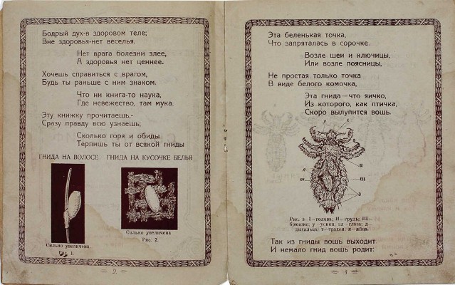 Фрид С.М. Сыпной тиф. Народная лекция [в стихах]. С 9 рис. [Екатеринбург?]: Изд. Екатеринбургского губ. отдела здравоохранения, 1919.